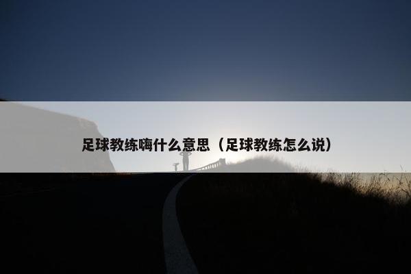 足球教练嗨什么意思（足球教练怎么说）