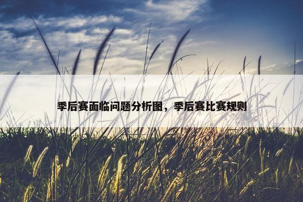 季后赛面临问题分析图，季后赛比赛规则
