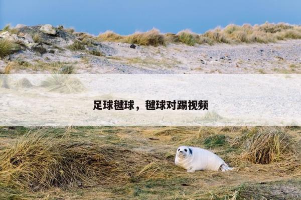 足球毽球，毽球对踢视频