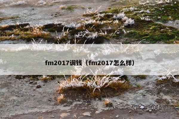 fm2017调钱（fm2017怎么样）