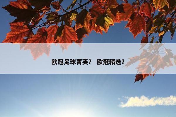 欧冠足球菁英？ 欧冠精选？