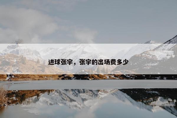 进球张宇，张宇的出场费多少