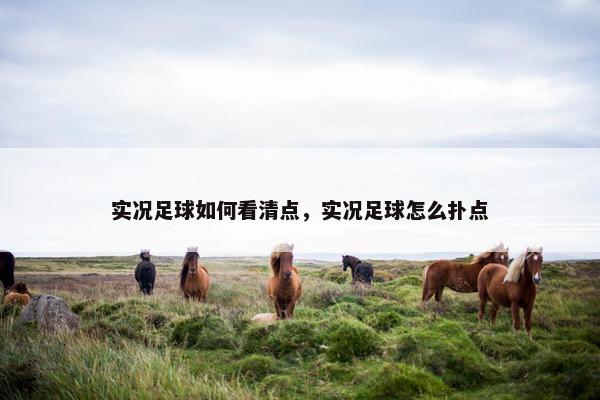实况足球如何看清点，实况足球怎么扑点