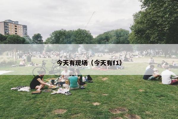 今天有现场（今天有f1）