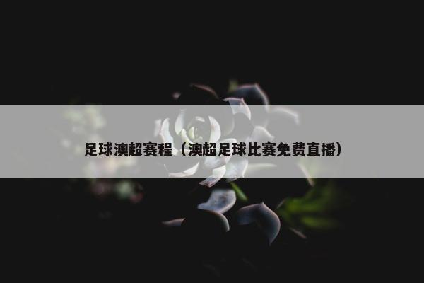 足球澳超赛程（澳超足球比赛免费直播）
