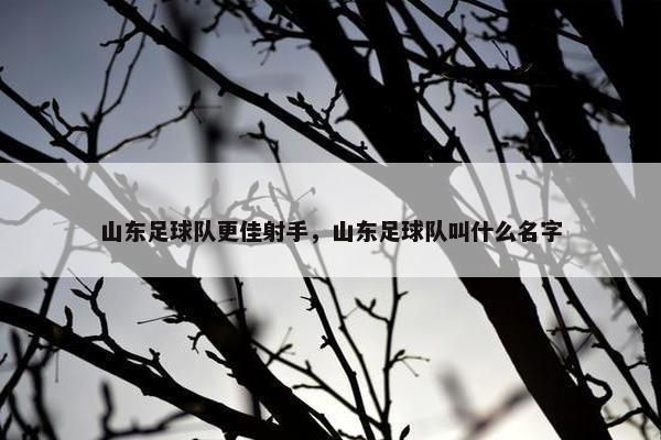 山东足球队更佳射手，山东足球队叫什么名字