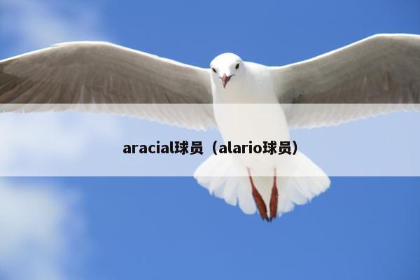 aracial球员（alario球员）