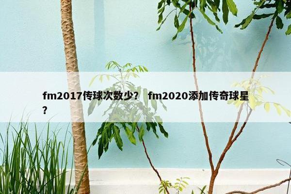 fm2017传球次数少？ fm2020添加传奇球星？