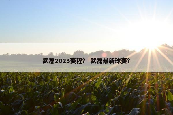 武磊2023赛程？ 武磊最新球赛？