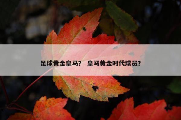 足球黄金皇马？ 皇马黄金时代球员？