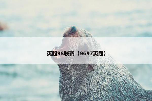 英超98联赛（9697英超）