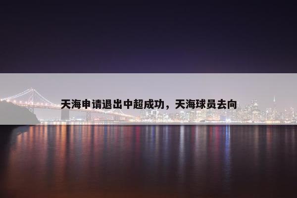 天海申请退出中超成功，天海球员去向