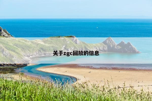 关于zgc回放的信息