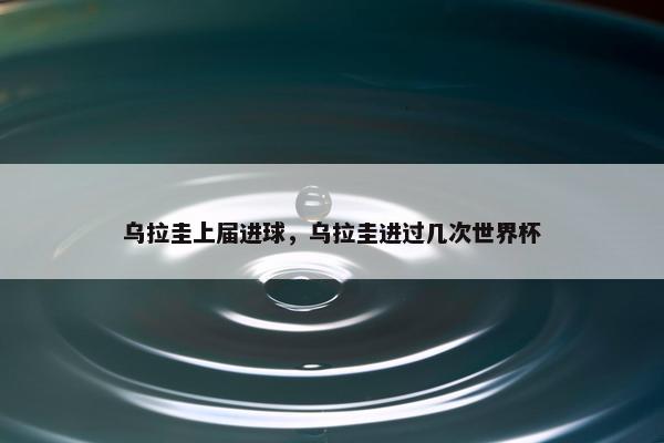 乌拉圭上届进球，乌拉圭进过几次世界杯