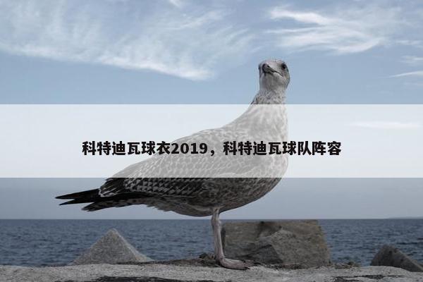 科特迪瓦球衣2019，科特迪瓦球队阵容