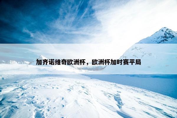 加齐诺维奇欧洲杯，欧洲杯加时赛平局