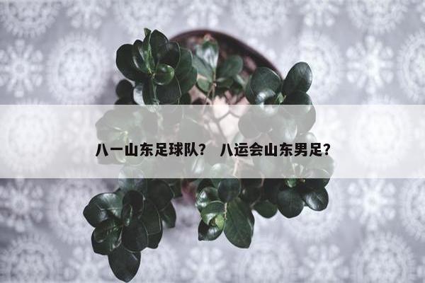八一山东足球队？ 八运会山东男足？
