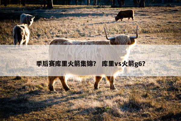 季后赛库里火箭集锦？ 库里vs火箭g6？