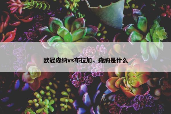 欧冠森纳vs布拉加，森纳是什么