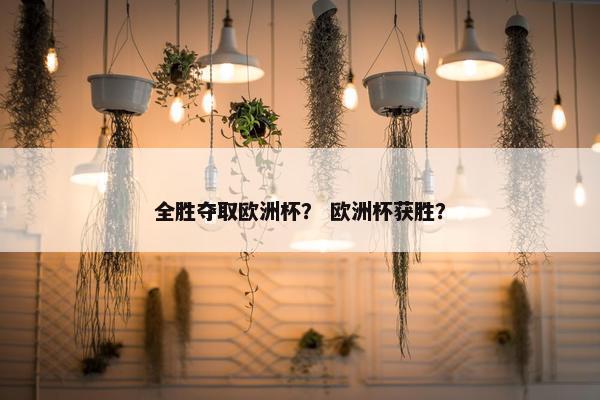 全胜夺取欧洲杯？ 欧洲杯获胜？