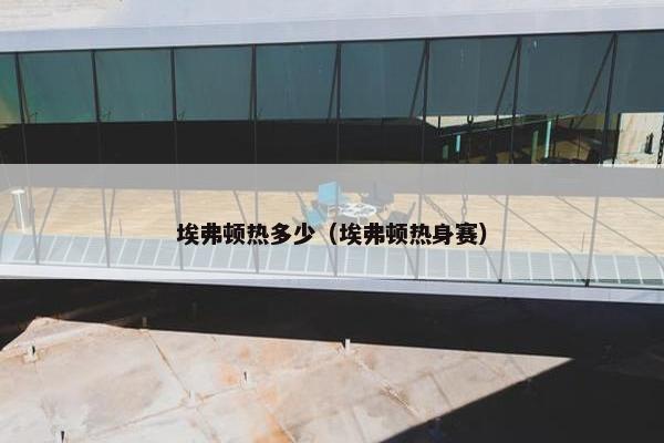 埃弗顿热多少（埃弗顿热身赛）