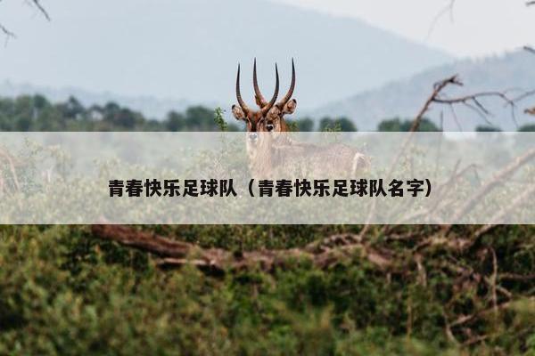 青春快乐足球队（青春快乐足球队名字）