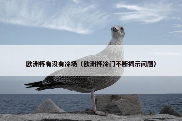 欧洲杯有没有冷场（欧洲杯冷门不断揭示问题）