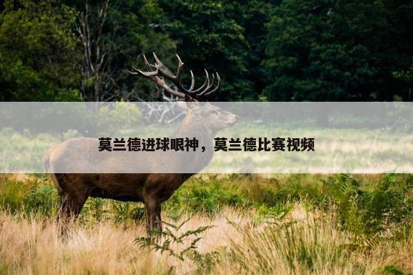 莫兰德进球眼神，莫兰德比赛视频