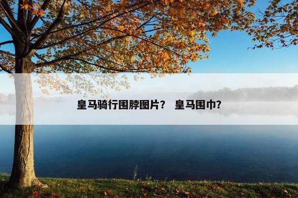 皇马骑行围脖图片？ 皇马围巾？