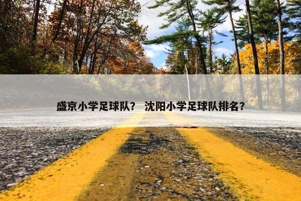 盛京小学足球队？ 沈阳小学足球队排名？