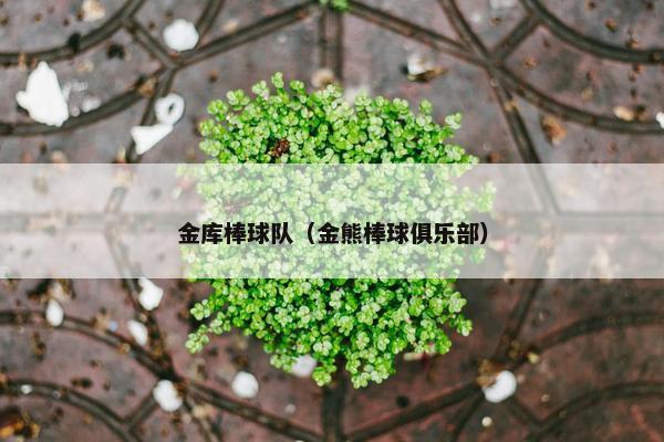 金库棒球队（金熊棒球俱乐部）