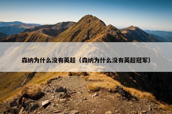 森纳为什么没有英超（森纳为什么没有英超冠军）