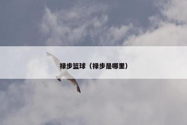 禄步篮球（禄步是哪里）