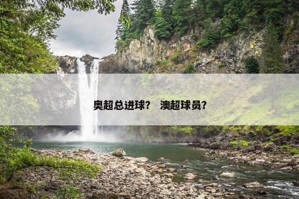 奥超总进球？ 澳超球员？