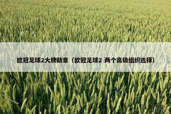 欧冠足球2大牌勋章（欧冠足球2 两个高级组织选择）