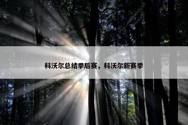 科沃尔总结季后赛，科沃尔新赛季