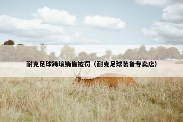 耐克足球跨境销售被罚（耐克足球装备专卖店）