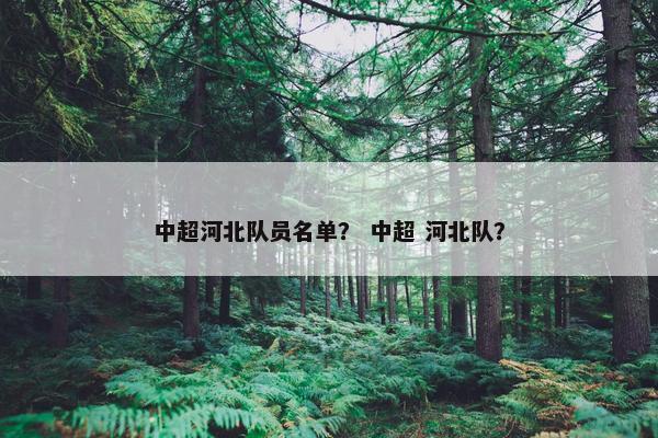 中超河北队员名单？ 中超 河北队？