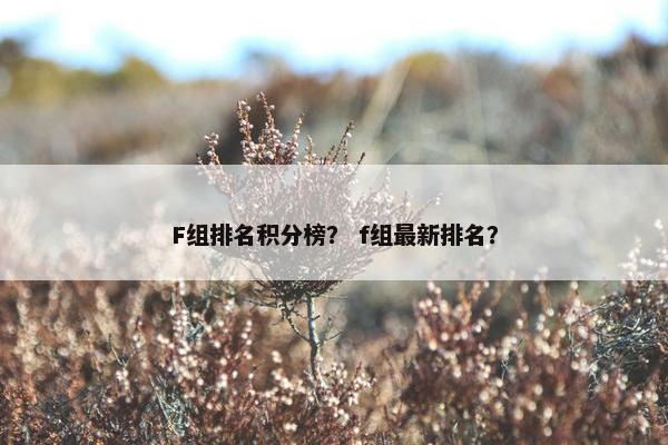 F组排名积分榜？ f组最新排名？
