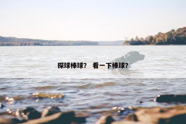 探球棒球？ 看一下棒球？