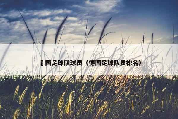 徳国足球队球员（德国足球队员排名）