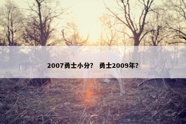 2007勇士小分？ 勇士2009年？
