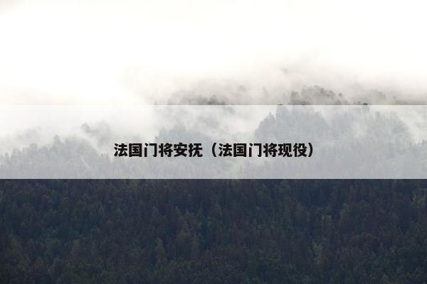 法国门将安抚（法国门将现役）