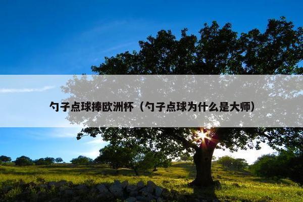 勺子点球捧欧洲杯（勺子点球为什么是大师）