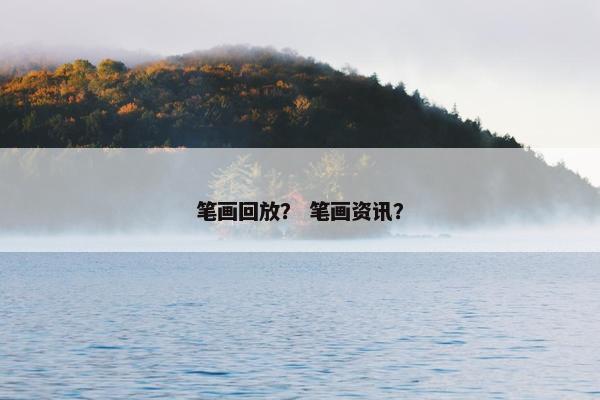 笔画回放？ 笔画资讯？