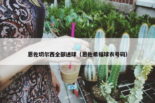 恩佐切尔西全部进球（恩佐希福球衣号码）