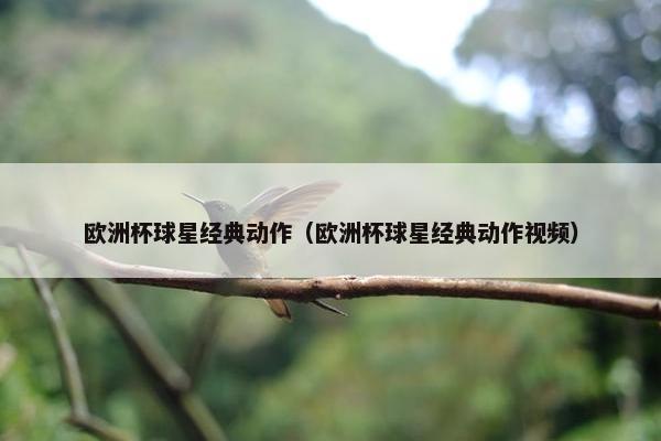 欧洲杯球星经典动作（欧洲杯球星经典动作视频）