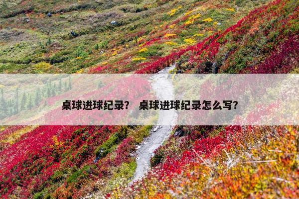 桌球进球纪录？ 桌球进球纪录怎么写？