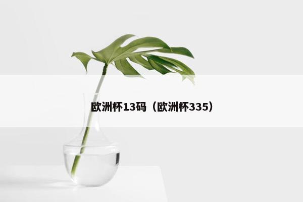 欧洲杯13码（欧洲杯335）