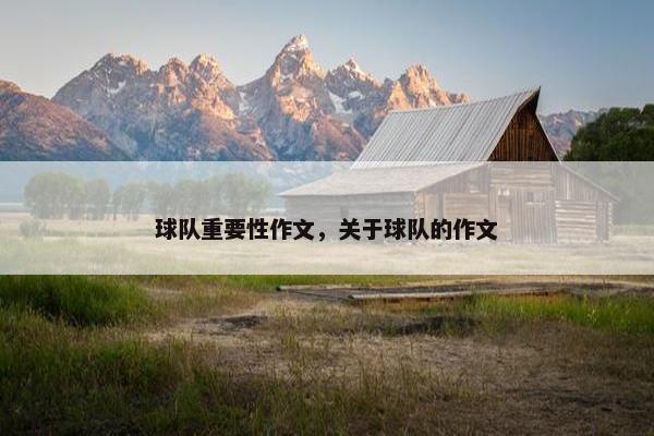 球队重要性作文，关于球队的作文